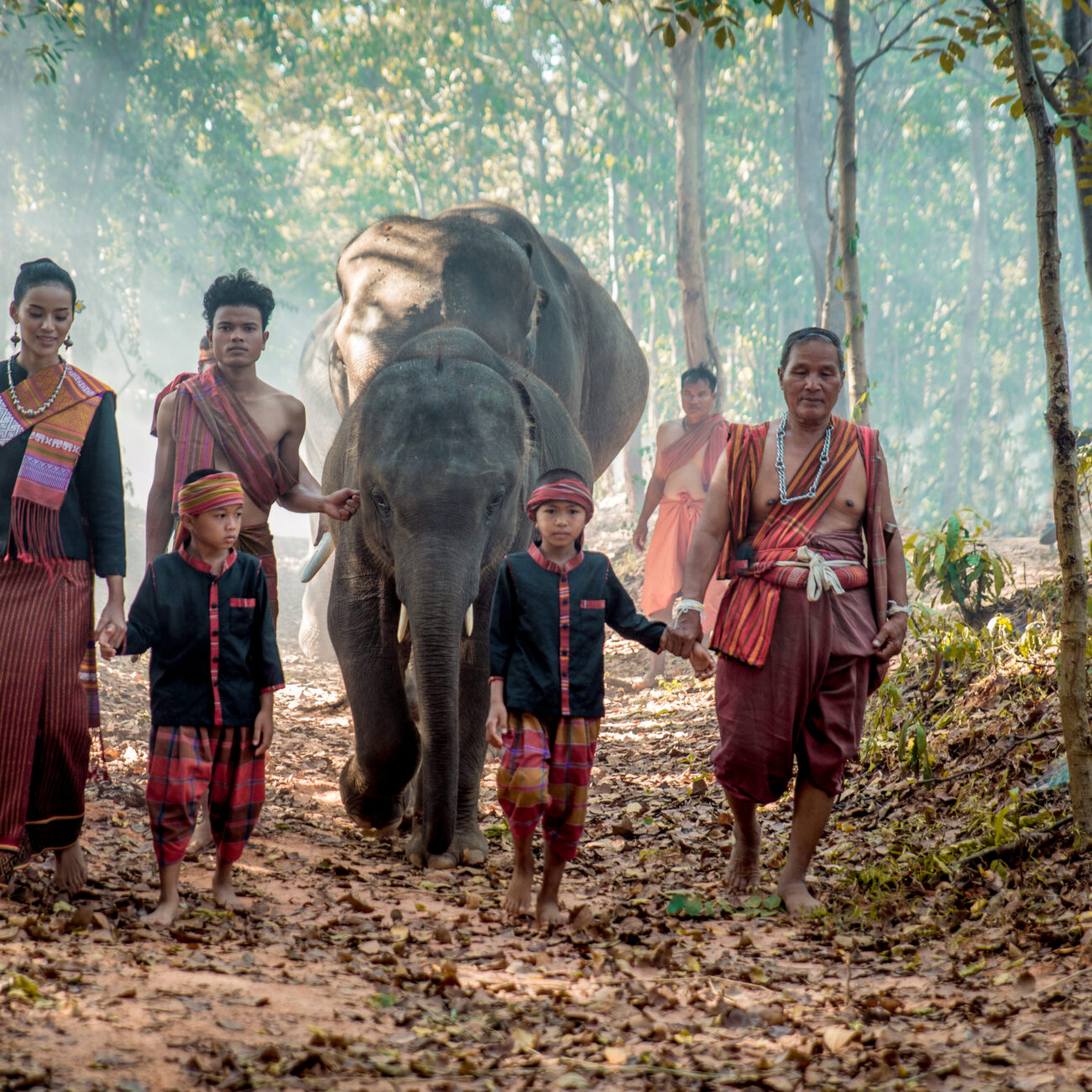 Elephant with group of farmers in asian countryside, Thailand - Thai elephant and people with traditional dress in Surin region