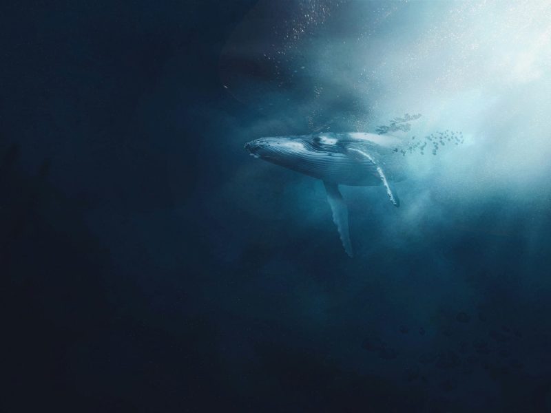 gabriel-dizzi-WPXxp36tkHQ-unsplash